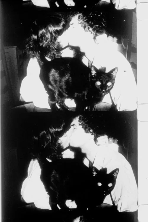 The Lighted Field movie poster