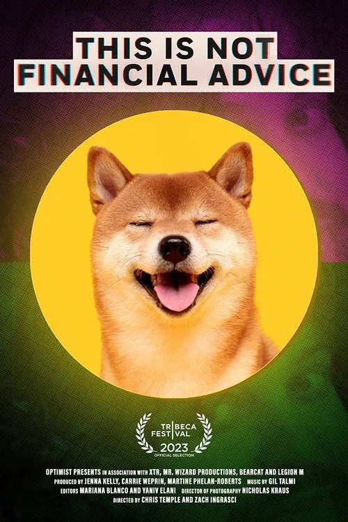 This Is Not Financial Advice movie poster