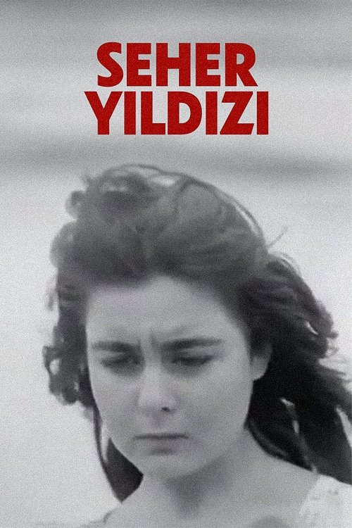 Seher Yıldızı movie poster
