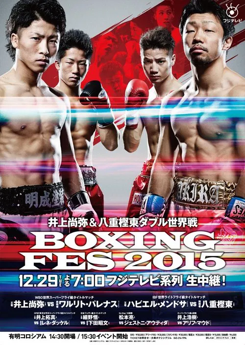 BOXING FES 2015 movie poster