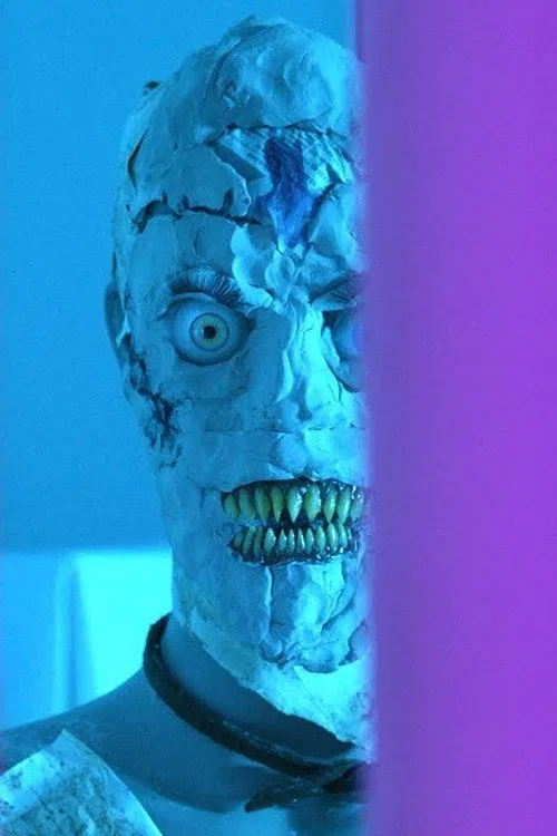Poster do filme The Mannequin