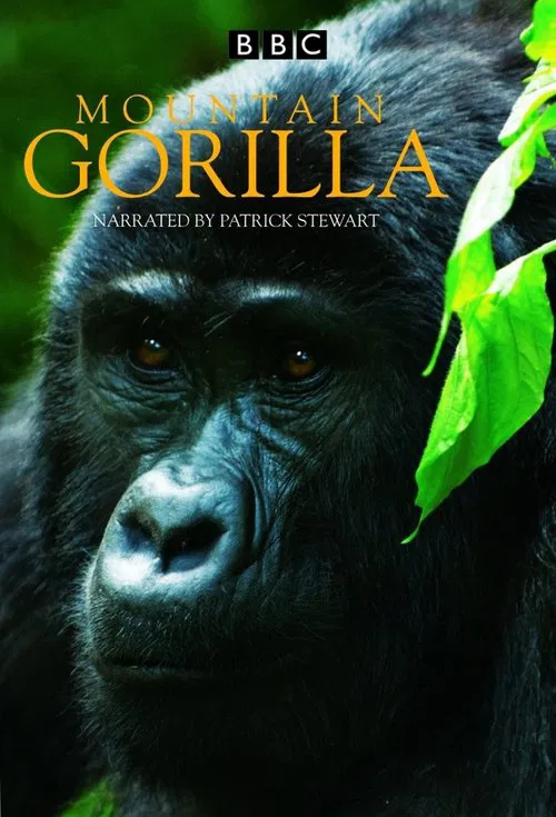 Mountain Gorilla tv show poster