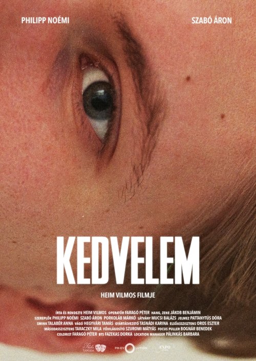 Liked it movie poster