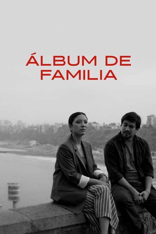 Family Album movie poster