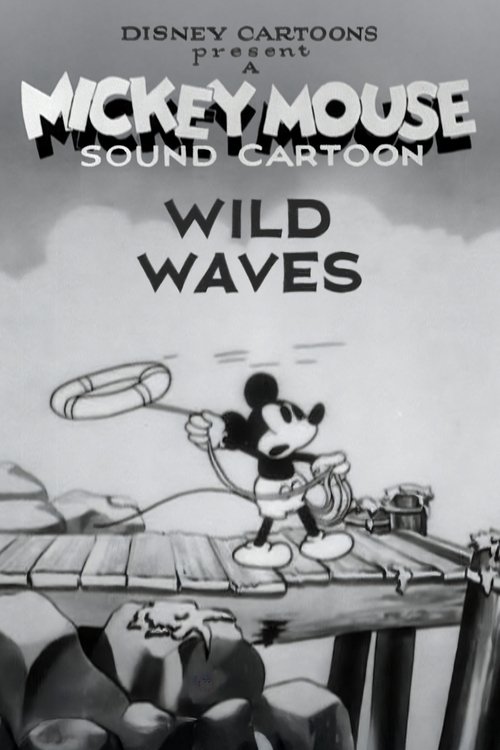 Wild Waves movie poster