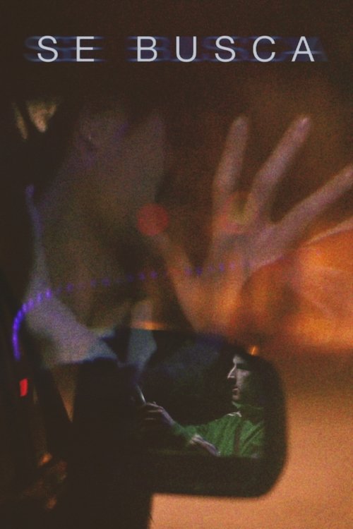 Wanting movie poster