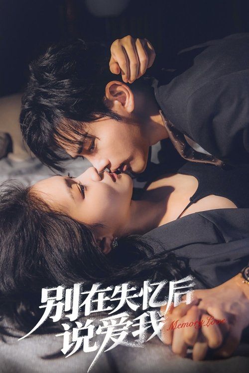 Memory Love tv show poster