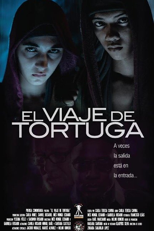 El viaje de Tortuga movie poster