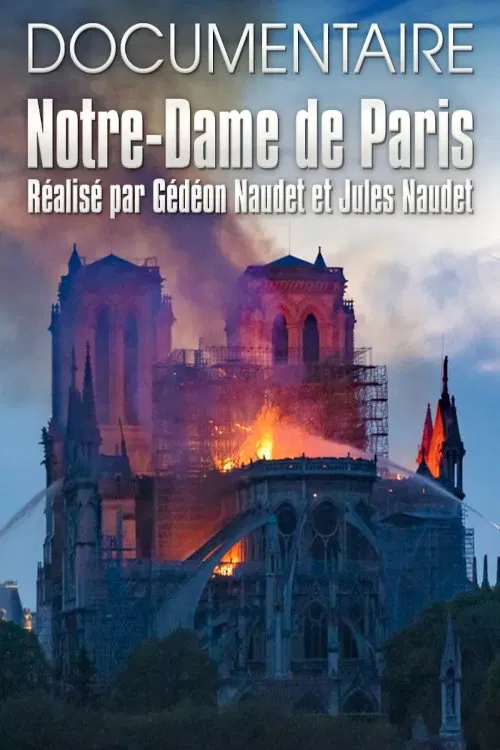 Notre-Dame de Paris des Frères Naudet movie poster