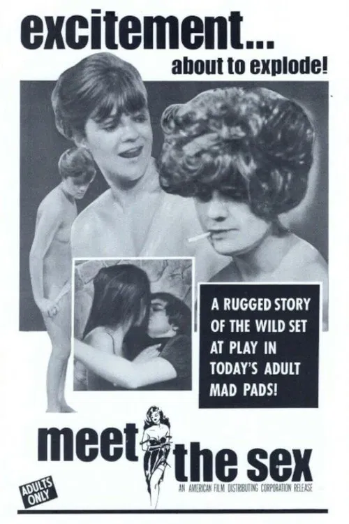 Meet The Sex movie poster