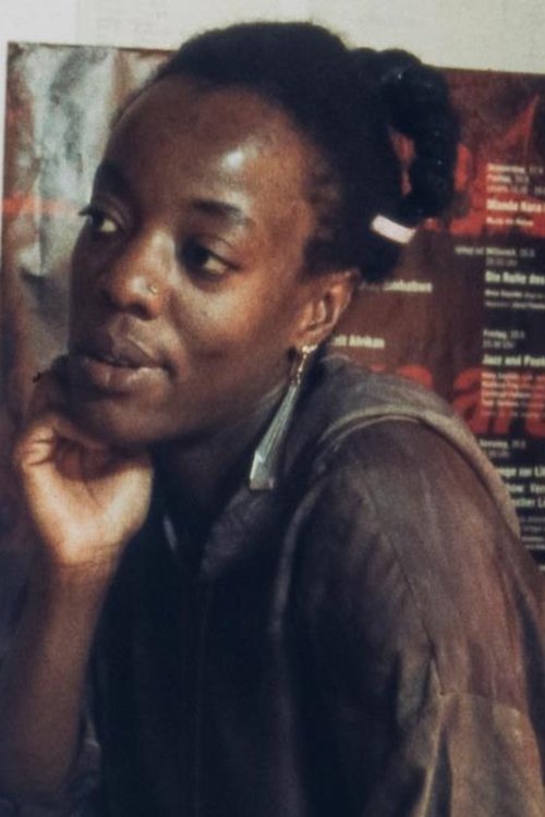 Poster do filme Black in the Western World