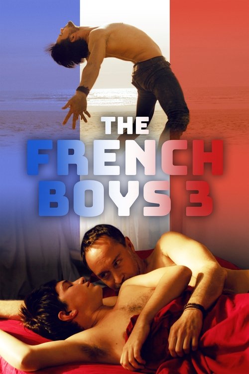 The French Boys 3 movie poster
