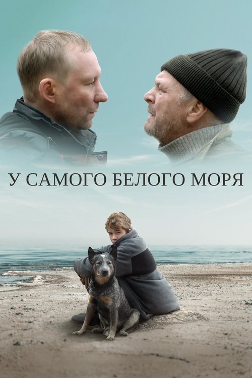 By The White Sea movie poster