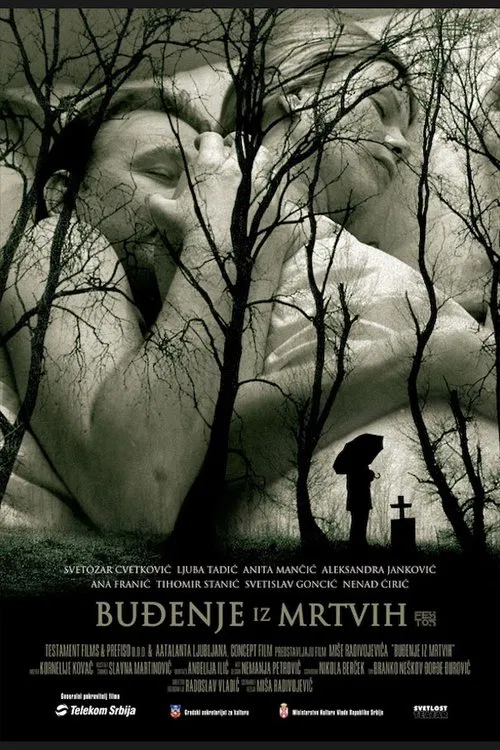 Awakening from the Dead movie poster