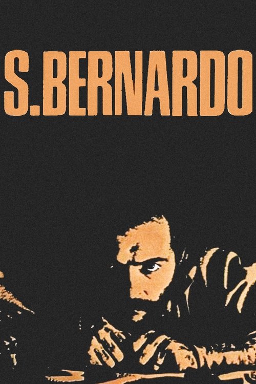Poster do filme Saint Bernard