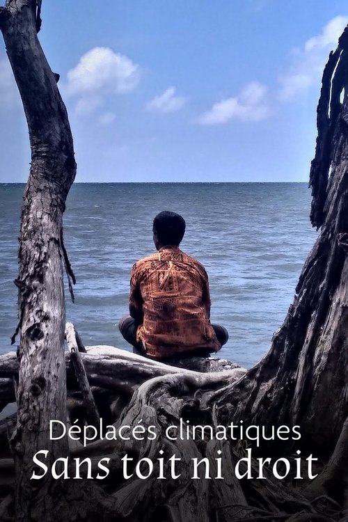 Déplacés climatiques : sans toit ni droit movie poster