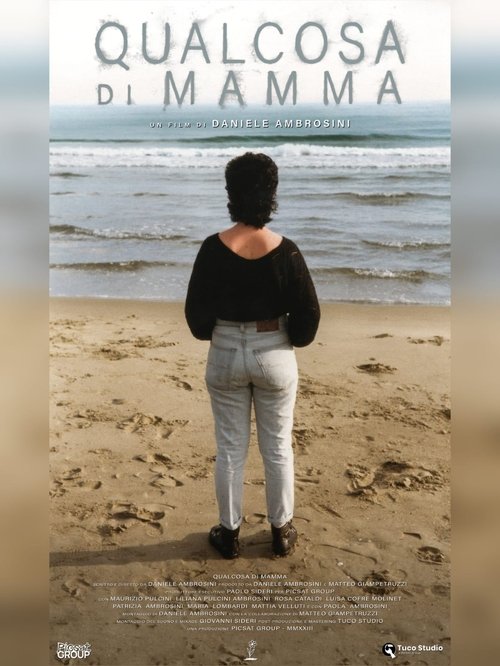 Poster do filme Something about Mamma