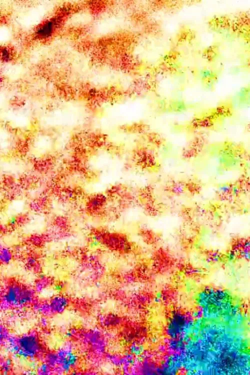 Lockdown movie poster