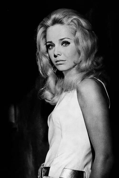 Karin Mossberg profile picture