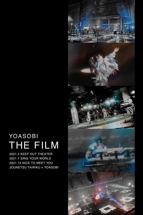 THE FILM movie poster