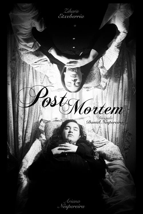 Post Mortem movie poster