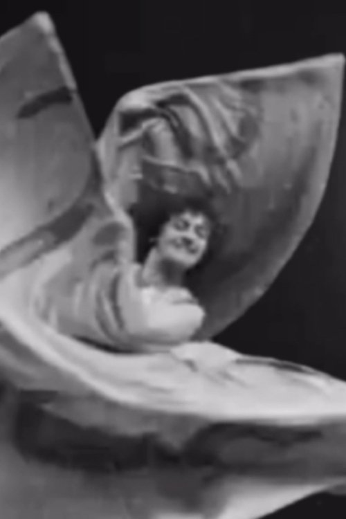 Foto de perfil de Lina Esbrard