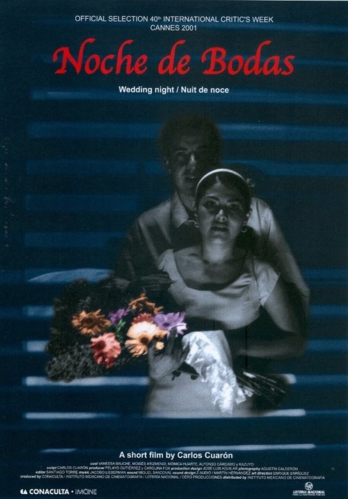 Wedding Night movie poster