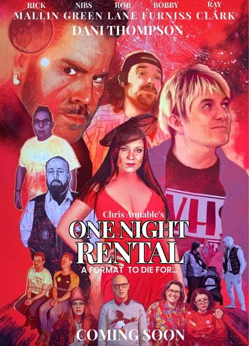 One Night Rental movie poster