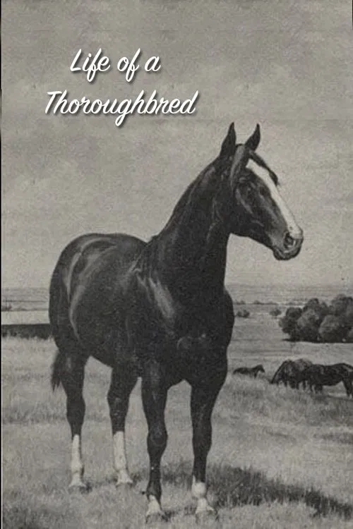 Life of a Thoroughbred movie poster