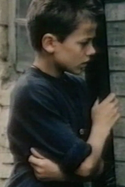 Svešais movie poster