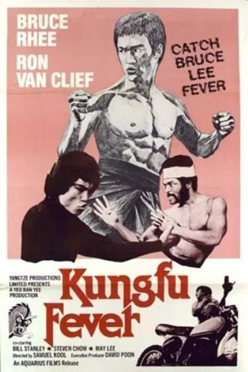 Kung Fu Fever movie poster