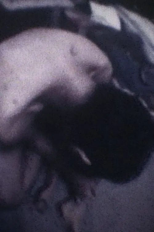 Film/Fragment for Strings, Percussion and Celesta movie poster