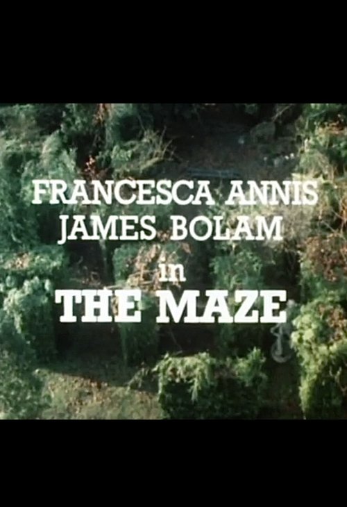 Poster do filme The Maze
