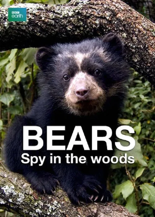 Bears: Spy in the Woods movie poster
