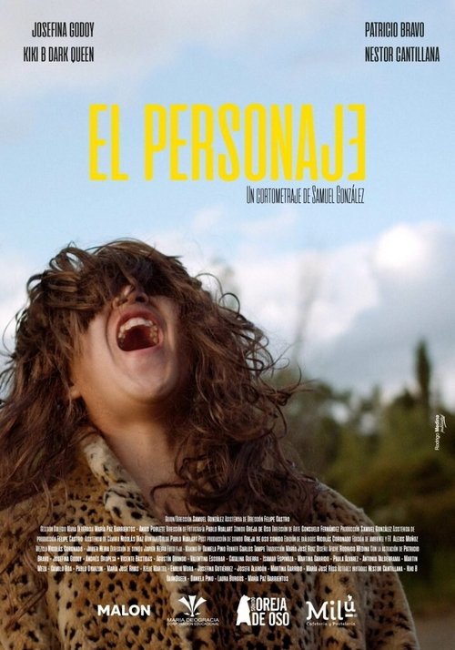 The Character movie poster