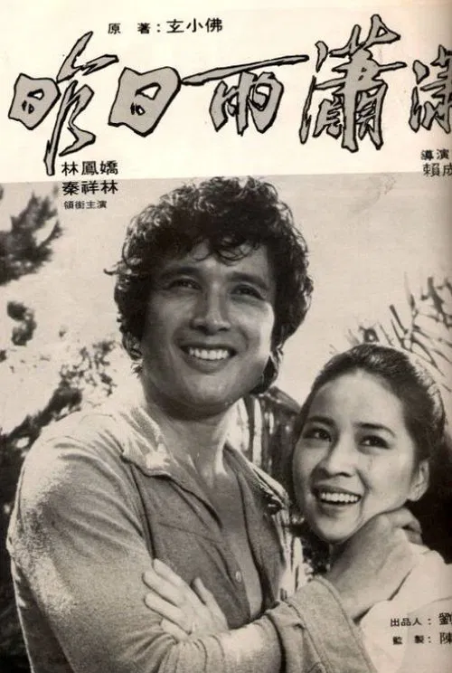 It Was Rainy Last Night movie poster