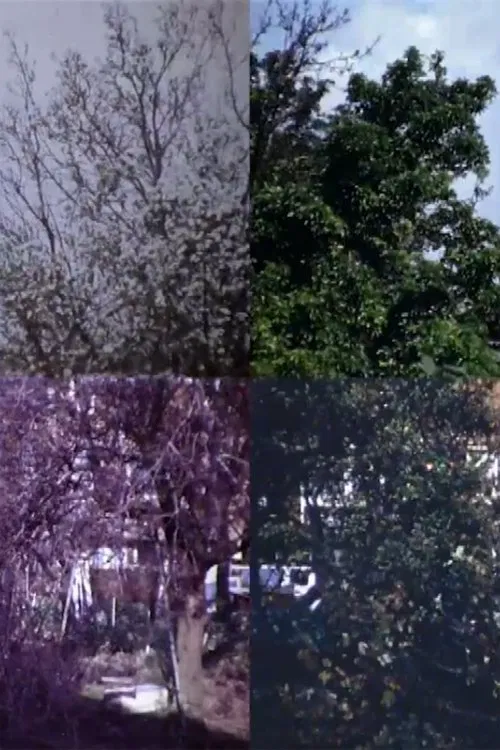From Four Seasons movie poster