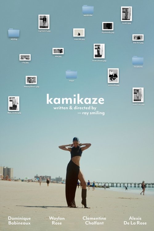 kamikaze movie poster