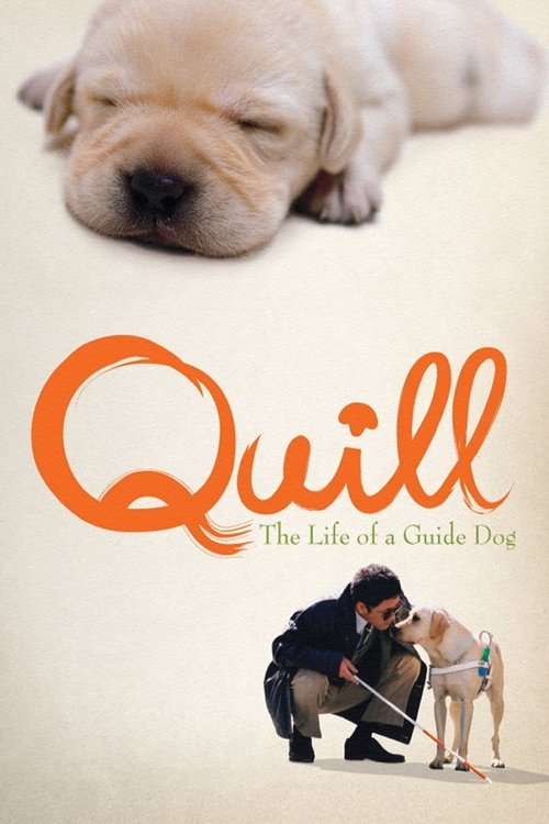 Quill: The Life of a Guide Dog movie poster