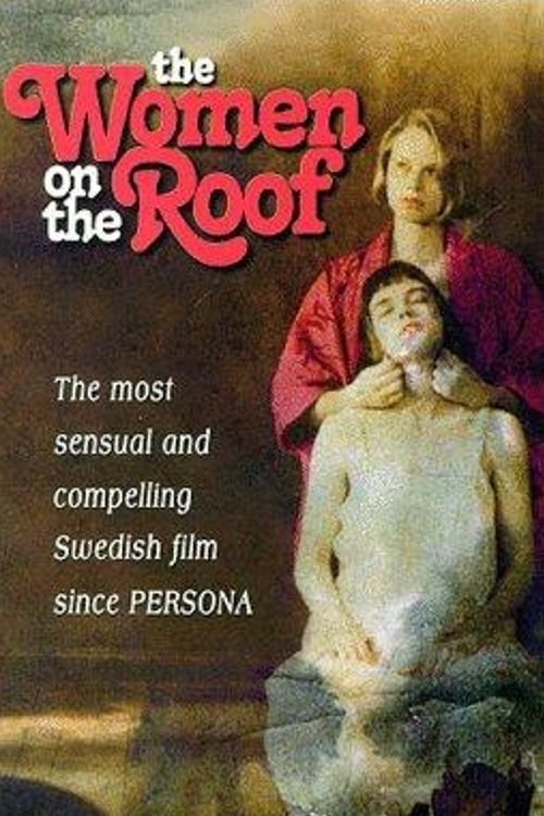 The Women on the Roof movie poster