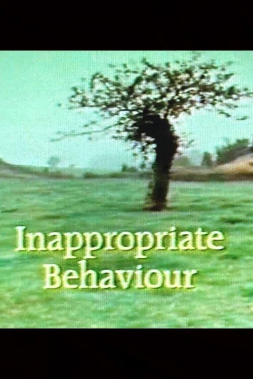Inappropriate Behaviour movie poster