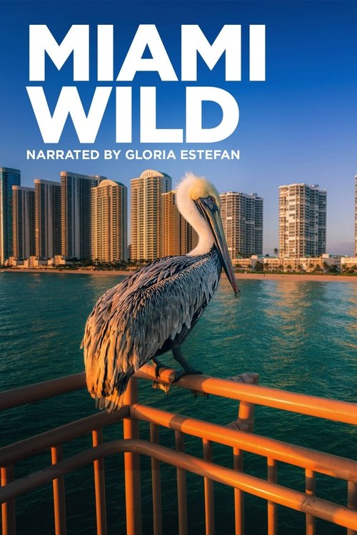 Poster do filme Miami Wild