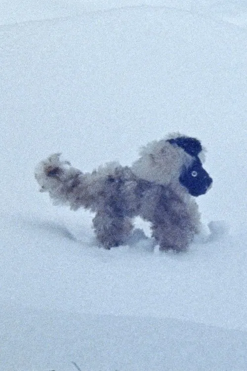 February Answers movie poster