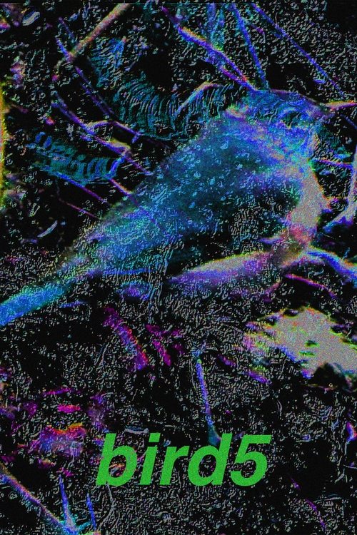 bird5.mp4 movie poster