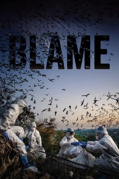 Poster do filme Blame