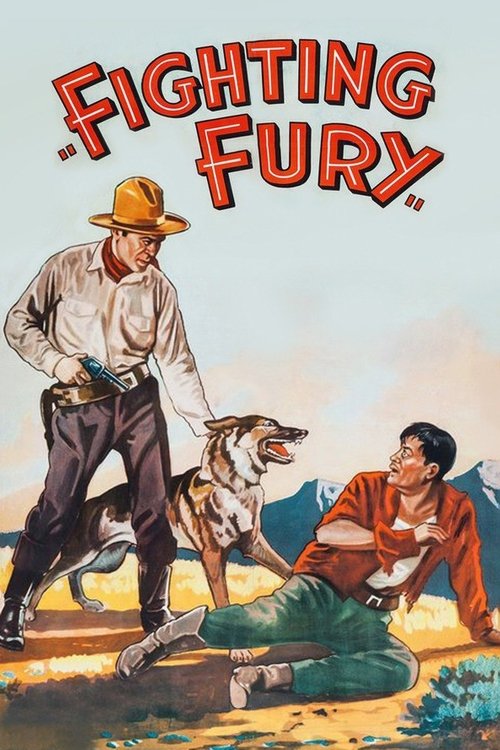 Fighting Fury movie poster