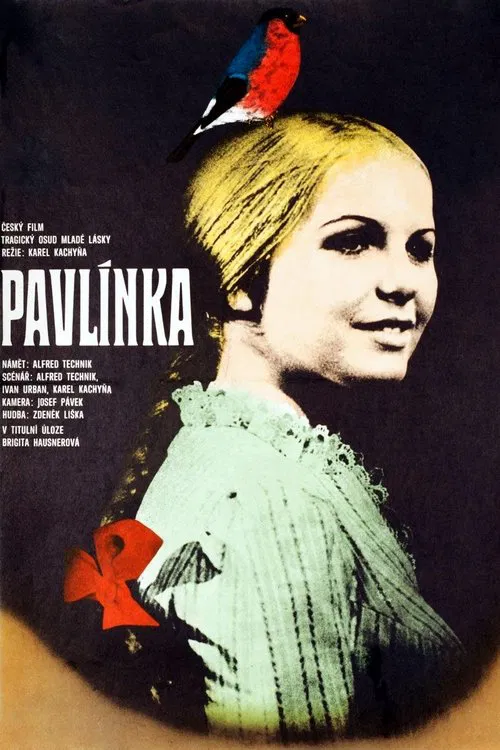 Poster do filme Pavlínka