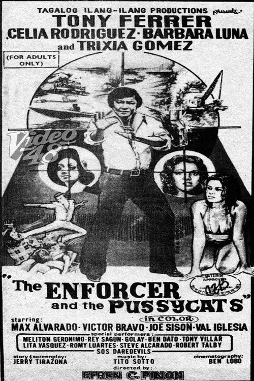 The Enforcer and the Pussycats movie poster