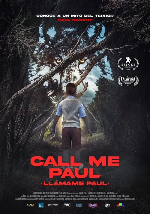 Call Me Paul movie poster