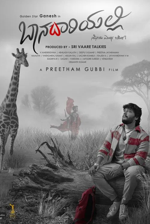 Poster do filme Baanadariyalli